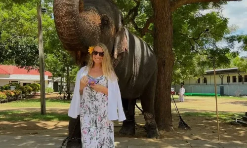 FB_IMG_1731510292238