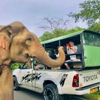 Udawalawe National Park Safari (1)